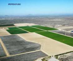 Foto Terreno Agricolo in Vendita, 6000 mq (Chioggia)