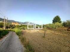 Foto Terreno agricolo in Vendita, 6250 mq (MONTECORVINO ROVELLA)