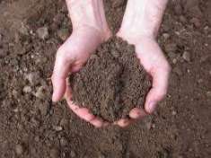 Foto Terreno Agricolo in Vendita, 6500 mq, Marsala (Periferia lato Tr