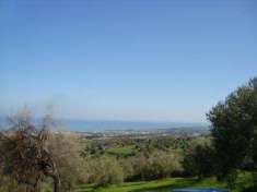 Foto Terreno agricolo in Vendita, 7000 mq (COLLESANO)