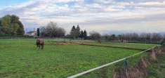 Foto Terreno agricolo in Vendita, 7025 mq (CAVE)