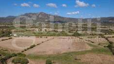 Foto Terreno Agricolo in Vendita, 70450 mq (Olbia)