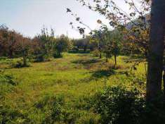 Foto Terreno agricolo in Vendita, 7400 mq (BARONISSI)