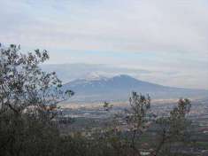 Foto Terreno agricolo in Vendita, 7404 mq (CASTEL SAN GIORGIO TRIVIO)