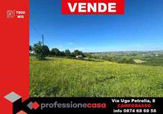 Foto Terreno Agricolo in Vendita, 7800 mq (Busso)