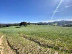 Foto Terreno agricolo in Vendita, 78000 mq (TELTI)