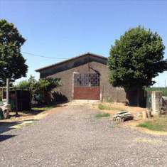 Foto Terreno Agricolo in Vendita, 78514 mq (Gavello)