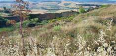 Foto Terreno agricolo in Vendita, 80000 mq (TARQUINIA)