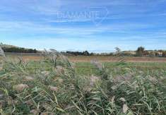 Foto Terreno agricolo in Vendita, 82786 mq (CITTA' DELLA PIEVE MOIAN