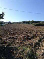 Foto Terreno agricolo in Vendita, 875 mq (CASALBORDINO CASALBORDINO L