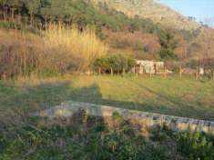 Foto Terreno agricolo in Vendita, 877 mq (CASTEL SAN GIORGIO SANTA CR