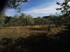 Foto Terreno agricolo in Vendita, 900 mq (TREQUANDA)