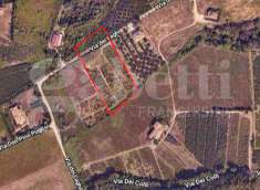 Foto Terreno Agricolo in Vendita, 9060 mq (Martinsicuro)