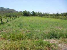 Foto Terreno Agricolo in Vendita, 960 mq, Mondragone