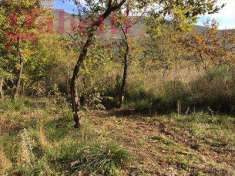 Foto Terreno Agricolo in Vendita, 9999 mq (Giano Vetusto)