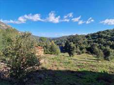Foto Terreno Agricolo in Vendita, pi di 6 Locali, 160000 mq, Olbia (