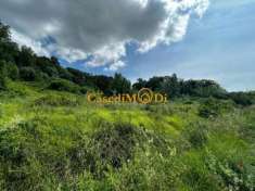 Foto Terreno agricolo in vendita a Acciaiolo - Fauglia 8000 mq  Rif: 1270993