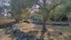 Foto Terreno agricolo in vendita a Aci Castello