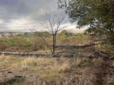 Foto Terreno agricolo in vendita a Acireale
