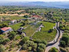 Foto Terreno agricolo in vendita a Adrano