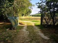 Foto Terreno agricolo in vendita a Agugliano
