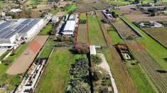 Foto Terreno agricolo in vendita a Airola