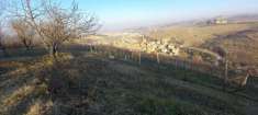 Foto Terreno agricolo in vendita a Alba