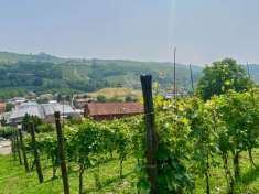 Foto Terreno agricolo in vendita a Alba