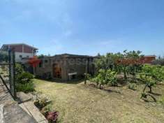 Foto Terreno agricolo in vendita a Albano Laziale