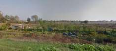 Foto Terreno agricolo in vendita a Alfianello