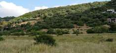Foto Terreno agricolo in vendita a Alghero