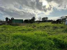 Foto Terreno agricolo in vendita a Alghero