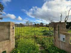 Foto Terreno agricolo in vendita a Alghero