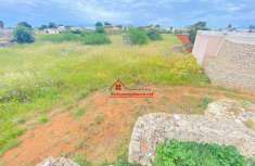 Foto Terreno agricolo in vendita a Alliste
