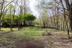 Foto Terreno agricolo in vendita a Alta Valle Intelvi