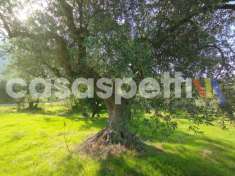 Foto Terreno agricolo in vendita a Altavilla Milicia