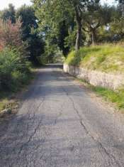 Foto Terreno agricolo in vendita a Altavilla Silentina