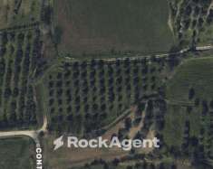 Foto Terreno agricolo in vendita a Altavilla Silentina