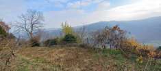 Foto Terreno agricolo in vendita a Altavilla Vicentina