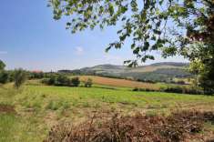 Foto Terreno agricolo in vendita a Ancona