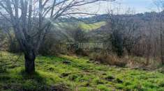 Foto Terreno agricolo in vendita a Ancona