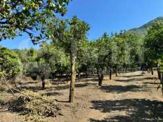 Foto Terreno agricolo in vendita a Angri
