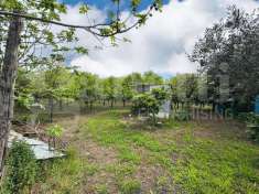 Foto Terreno agricolo in vendita a Angri