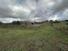 Foto Terreno agricolo in vendita a Anguillara Sabazia