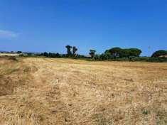 Foto Terreno agricolo in vendita a Anguillara Sabazia