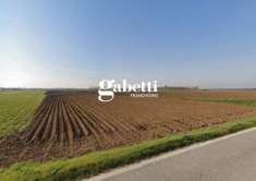 Foto Terreno agricolo in vendita a Anguillara Veneta