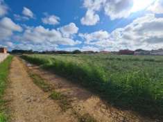 Foto Terreno agricolo in vendita a Anzio