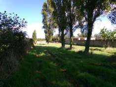 Foto Terreno agricolo in vendita a Anzio