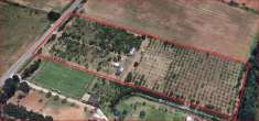 Foto Terreno agricolo in vendita a Aprilia