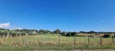 Foto Terreno agricolo in vendita a Aprilia